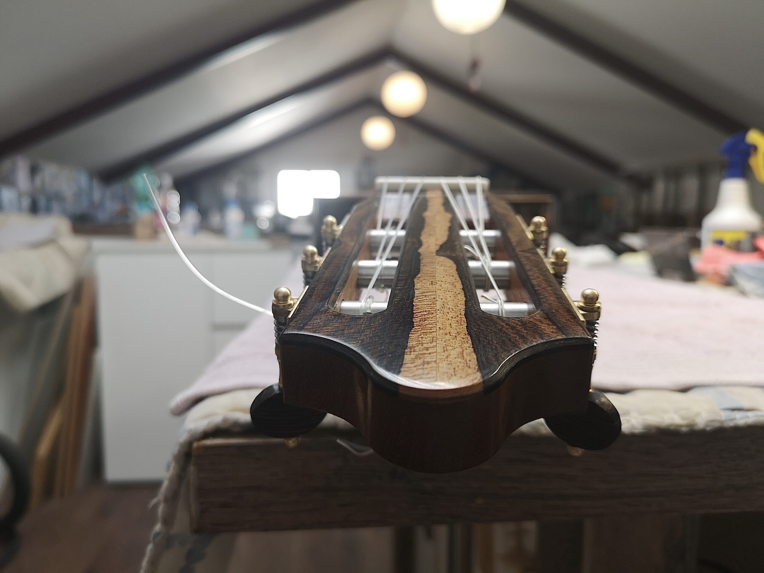 Arnoldo Luthier's photo